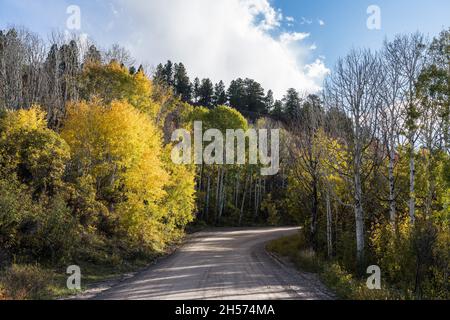 Aspen-Bäume in Herbstfarbe entlang einer Feldstraße in den La Sal Mountains in der Nähe von Moab, Utah. Stockfoto