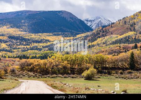 Früher Schnee auf den Gipfeln der La Sal Mountains mit den Espenbäumen in brillanter Herbstfarbe in der Nähe von Moab, Utah. Stockfoto