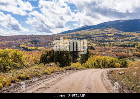 Gambeleichen und Espenbäume in Herbstfarben in den La Sal Mountains in der Nähe von Moab, Utah. Stockfoto