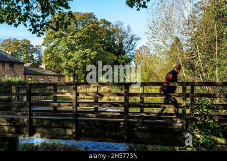Hölzerne Fußgängerbrücke über den Skell River mit einem Mann, der an einem Herbsttag mit farbigen Bäumen durch den Skell River läuft, Ripon, England, Großbritannien. Stockfoto