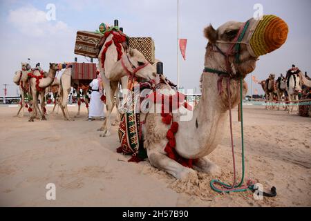 Eine Kamelkarawane in der Wüste des leeren Viertels der Arabischen Halbinsel Stockfoto