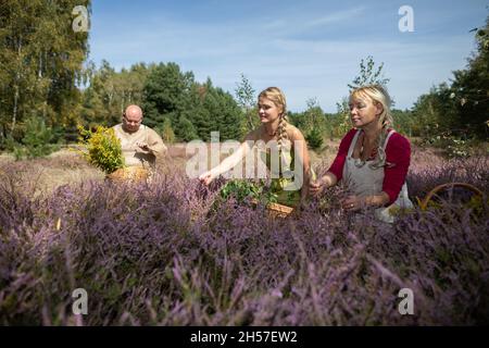 Zwei Mädchen pflücken auf einer Waldlichtung Heideblumen. Stockfoto