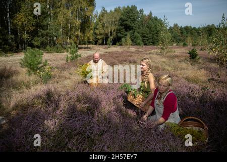 Zwei Mädchen pflücken auf einer Waldlichtung Heideblumen. Stockfoto