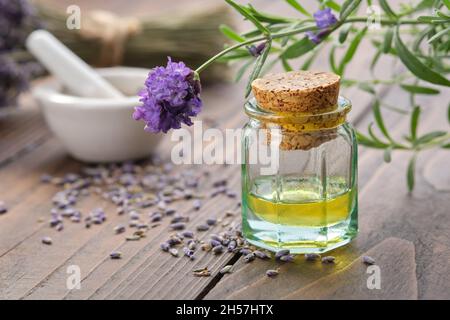 Glasflasche mit ätherischem Lavendelöl, frischen und getrockneten Lavendelblüten auf dem Hintergrund. Stockfoto