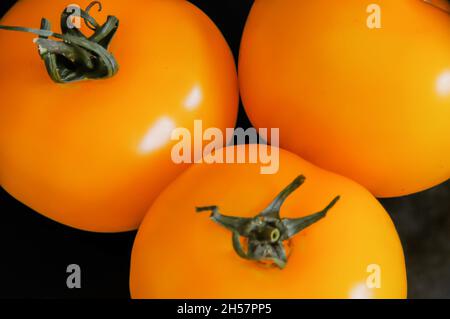 Gelbe Tomaten - Stillleben Stockfoto