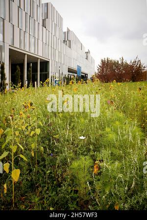 Forschungscampus Garching an der Technischen Universität München (TUM), Deutschland - Galileo, neues Zentrum für den Forschungscampus 200 Meter lang für congr Stockfoto