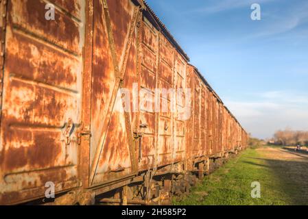 Gruppe von verlassenen und verrosteten Zugwagen. Konzept von verlassenen Standorten Stockfoto