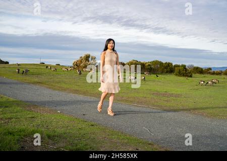 Junge asiatische Frau, die mit Gänsen läuft Stockfoto