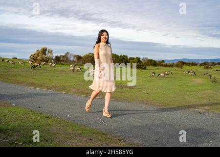 Junge asiatische Frau, die mit Gänsen läuft Stockfoto