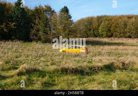 Hellgelbes Ford Focus ST-Fahrzeug, das durch die offene Landschaft von Wiltshire mit Wiesen und Wäldern fährt Stockfoto