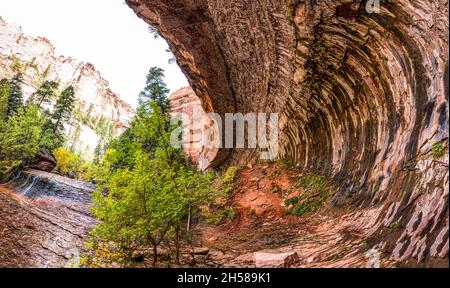 Herrliche Landschaft auf dem Left Fork Trail zur Subway Gorge, Zion National Park, USA Stockfoto