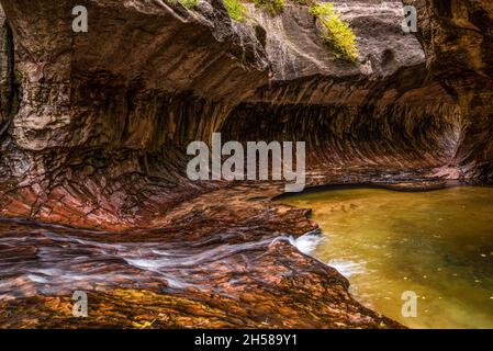 Großartiges Wahrzeichen der Subway Gorge im Zion National Park in Utah, USA Stockfoto