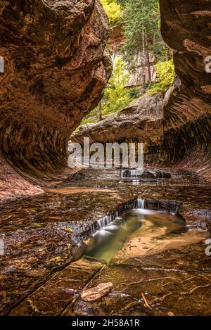 Großartiges Wahrzeichen der Subway Gorge im Zion National Park in Utah, USA Stockfoto