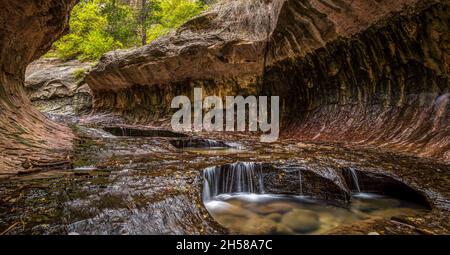 Großartiges Wahrzeichen der Subway Gorge im Zion National Park in Utah, USA Stockfoto