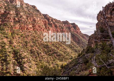 Herrliche Landschaft auf dem Left Fork Trail zur Subway Gorge, Zion NP, USA Stockfoto