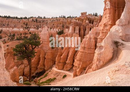 Malerische Felsen vom Navajo Loop Trail, der durch den Bryce Canyon, USA führt Stockfoto