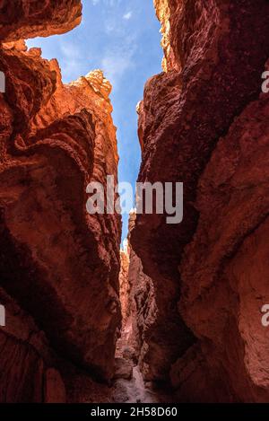 Kultige Wall Street Schlucht im Bryce Canyon Tal in Utah, USA Stockfoto