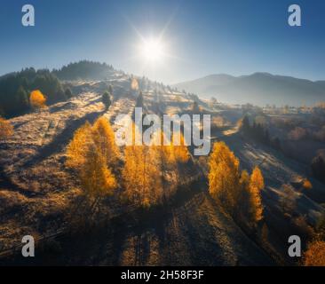 Luftaufnahme von schönen Orangenbäumen auf dem Hügel in den Bergen Stockfoto