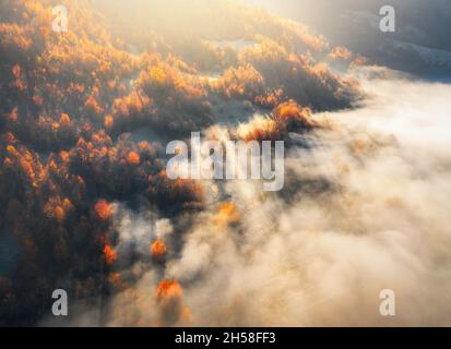 Luftaufnahme des Bergwaldes in niedrigen Wolken bei Sonnenaufgang im Herbst Stockfoto