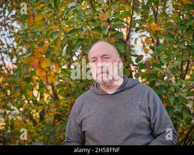 Lässiges Hinterhof-Portrait eines älteren, selbstbewussten, ernsthaften, kahlen Mannes im Sweatshirt mit einem Apfelbaum im Hintergrund Stockfoto