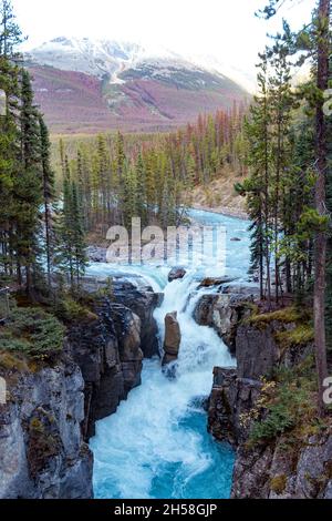 Sunwapta Falls Wasserfall im Autumb. Starker Wasserfluss mit Bäumen und Bergen im Hintergrund Stockfoto