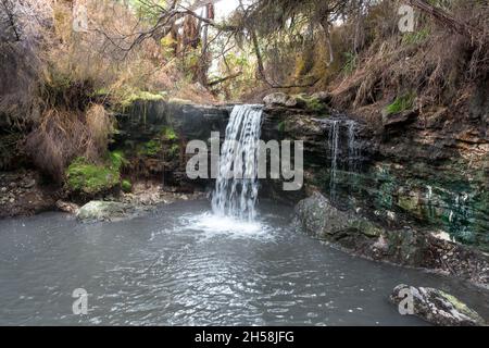 Wasserfall auf dem Kerosin Creek Thermalfluss, rotorua, Neuseeland Stockfoto