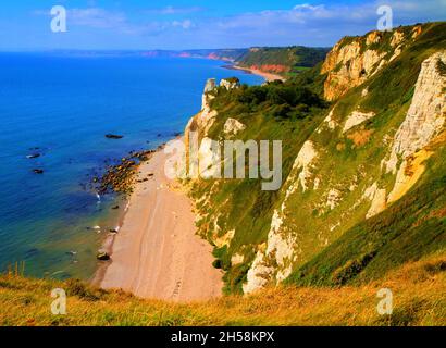 Atemberaubende Aussicht auf die Küste von East Devon bei Branscombe in Richtung Sidmouth und Ladram Bay England Stockfoto