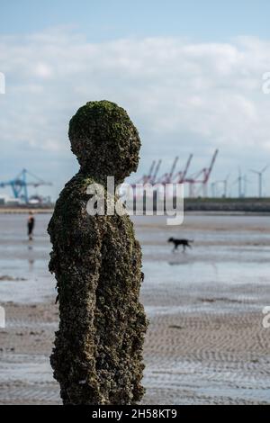 Figur aus Antony Gormleys Installation Another Place' on Crosby Beach mit den Kränen von Seaforth Dock im Hintergrund Stockfoto