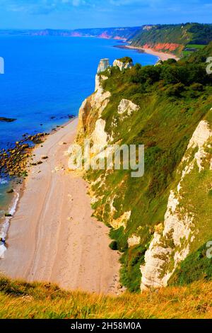East Devon Coast bei Branscombe Blick in Richtung Sidmouth und Ladram Bay England Stockfoto