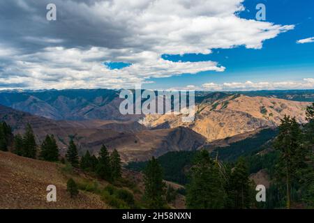 Sommernachmittag mit Blick auf Hells Canyon National Recreation Area, USA Stockfoto