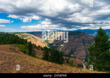 Sommernachmittag mit Blick auf Hells Canyon National Recreation Area, USA Stockfoto