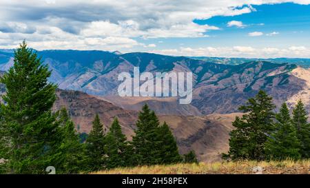 Sommernachmittag mit Blick auf Hells Canyon National Recreation Area, USA Stockfoto