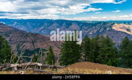 Sommernachmittag mit Blick auf Hells Canyon National Recreation Area, USA Stockfoto