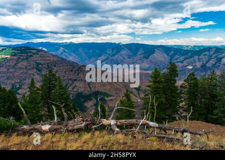 Sommernachmittag mit Blick auf Hells Canyon National Recreation Area, USA Stockfoto