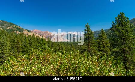 Wunderschöne Aussicht auf die Berge im Sawtooth National Recreation Area Stockfoto