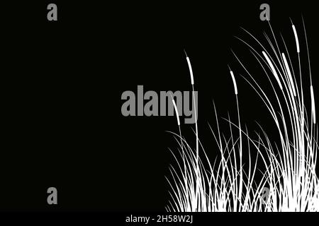 Schwarze Silhouette von Schilf.Vektordarstellung.Säge, Stock, Schwarm oder Gras auf weißem Hintergrund. Stock Vektor