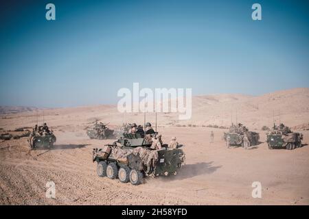 Bislah, Israel. 03. November 2021. US-Marineinfanteristen, die der Light Armored Reconnaissance Company, 11. Marine Expeditionary Unit, zugewiesen wurden, feuern die Hauptwaffe auf ein gepanzertes LAV-25 Fahrzeug während einer israelischen Interoperabilitätsübung im Bislah Training Center am 3. November 2021 in Bislah, Israel. Kredit: SSGT. Donald Holbert/US Marines Photo/Alamy Live News Stockfoto