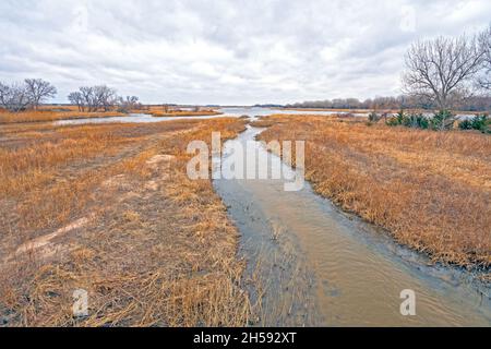 Insel am Platte River im Winter in der Nähe von Kearney, Nebraska Stockfoto