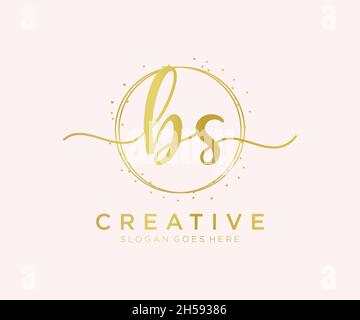 BS feminines Logo. Verwendbar für Natur, Salon, Spa, Kosmetik und Beauty Logos. Flaches Vektor-Logo-Design-Template-Element. Stock Vektor