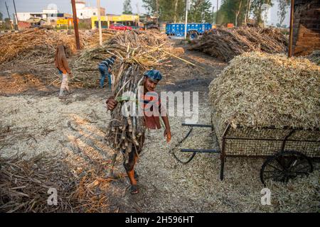 Roorkee, Indien. November 2021. Ein Arbeiter transportiert Zuckerrohrbündel in der Produktionseinheit von Jaggery im unteren Teil von Roorkee.die Herstellung von Zuckerrohrsaft ist in vielen Teilen Indiens eine traditionelle ländliche Industrie. Mehr als 70 % der weltweiten Produktion von Jaggery werden von Indien produziert. (Foto von Pradeep Gaur/SOPA Images/Sipa USA) Quelle: SIPA USA/Alamy Live News Stockfoto