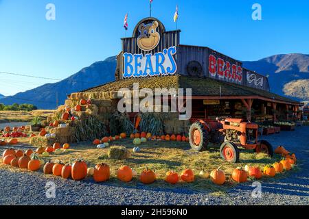 Keremeos, British Columbia, Kanada - 30. September 2021: Bears Fruit Stand und Farmers Market Display und Arrangement von Winter Squash feiert die Stockfoto