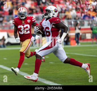 Santa Clara, Kalifornien, USA. November 2021. Während eines NFL-Fußballspiels zwischen den Arizona Cardinals und den San Francisco 49ers im Levi's Stadium in Santa Clara, Kalifornien. Valerie Shoaps/CSM/Alamy Live News Stockfoto