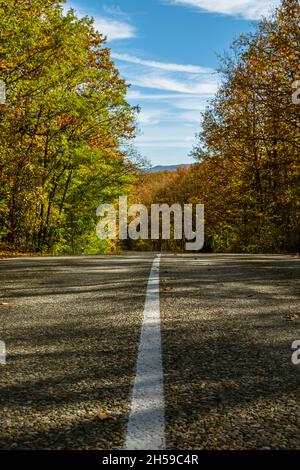 Eine weiße, solide Markierungslinie auf einer asphaltierten Landstraße, die in den gelb-grünen Herbstwald führt. Im Hintergrund ist ein Berg und ein blauer Himmel Stockfoto