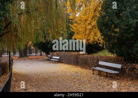 Der Sächsische Garten in Warschau im Herbst. Spazieren Sie zwischen den gelben Bäumen. Bänke im Park. Alley voller Blätter. Tourismus in Eropa, Polen Warschau. Stockfoto