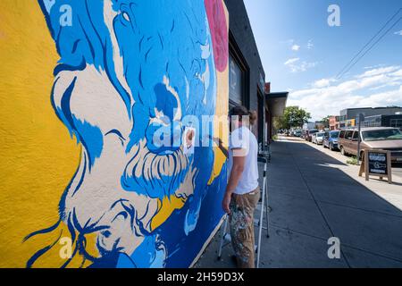 Wandmalereien im Rino Art District in Denver, Colorado, USA Stockfoto