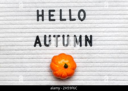 Filzschwein mit Text Hallo Herbst, Kürbis auf orangefarbenem Hintergrund Draufsicht Flat Lay Saisonkonzept Hallo September, Oktober, November Stockfoto