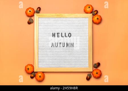 Filzschwein mit Text Hallo Herbst, Kürbis auf orangefarbenem Hintergrund Draufsicht Flat Lay Saisonkonzept Hallo September, Oktober, November. Stockfoto