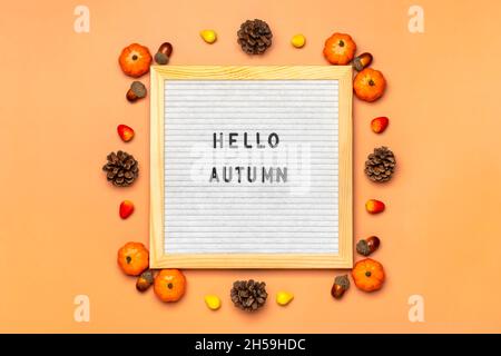 Filzschwein mit Text Hallo Herbst, Kürbis auf orangefarbenem Hintergrund Draufsicht Flat Lay Saisonkonzept Hallo September, Oktober, November. Stockfoto