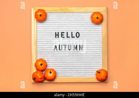 Filzschwein mit Text Hallo Herbst, Kürbis auf orangefarbenem Hintergrund Draufsicht Flat Lay Saisonkonzept Hallo September, Oktober, November. Stockfoto