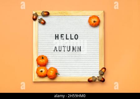 Filzschwein mit Text Hallo Herbst, Kürbis auf orangefarbenem Hintergrund Draufsicht Flat Lay Saisonkonzept Hallo September, Oktober, November. Stockfoto